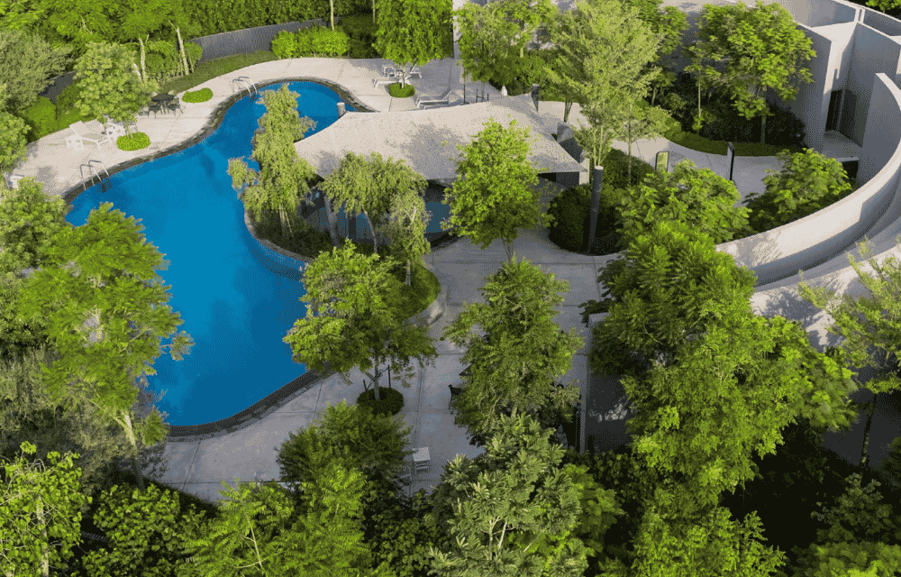 Forest Lagoon