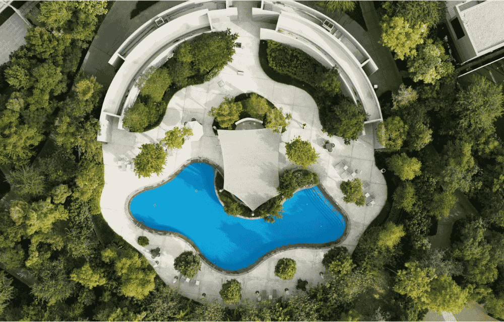 Forest Adventure Park
