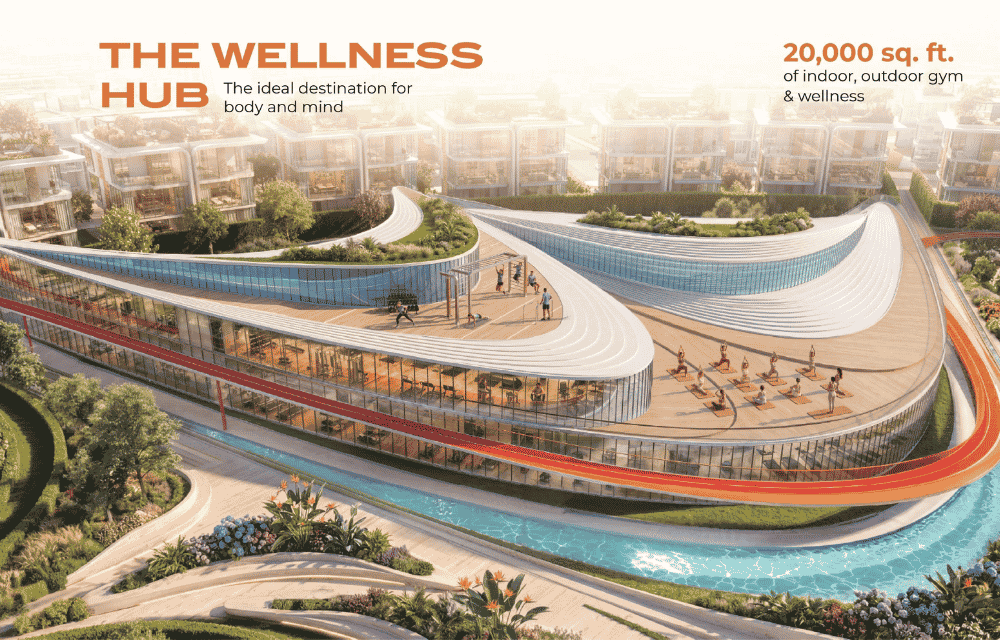 The Wellness Hub